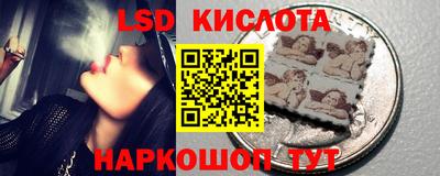 PSILOCYBIN Вязники
