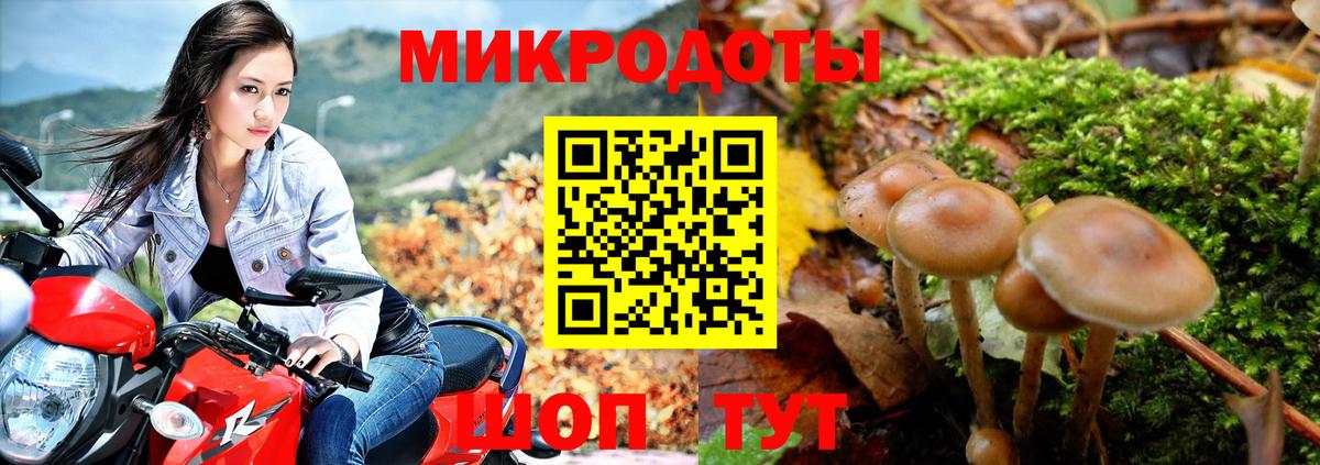 Псилоцибиновые грибы GOLDEN TEACHER  наркота  Вход с VPN  Ртищево  Псилоцибиновые грибы Psilocybe 